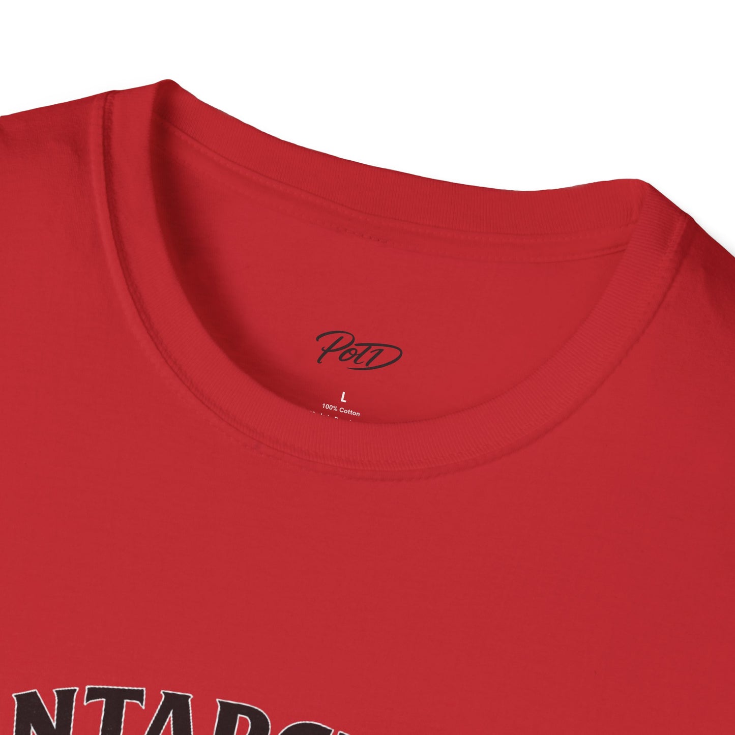 "Antarctica" Softstyle T-Shirt