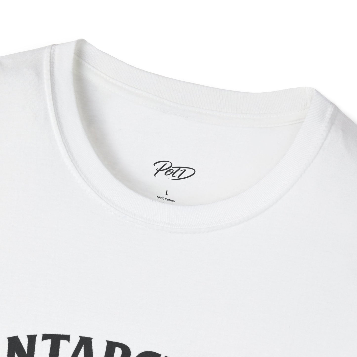 "Antarctica" Softstyle T-Shirt
