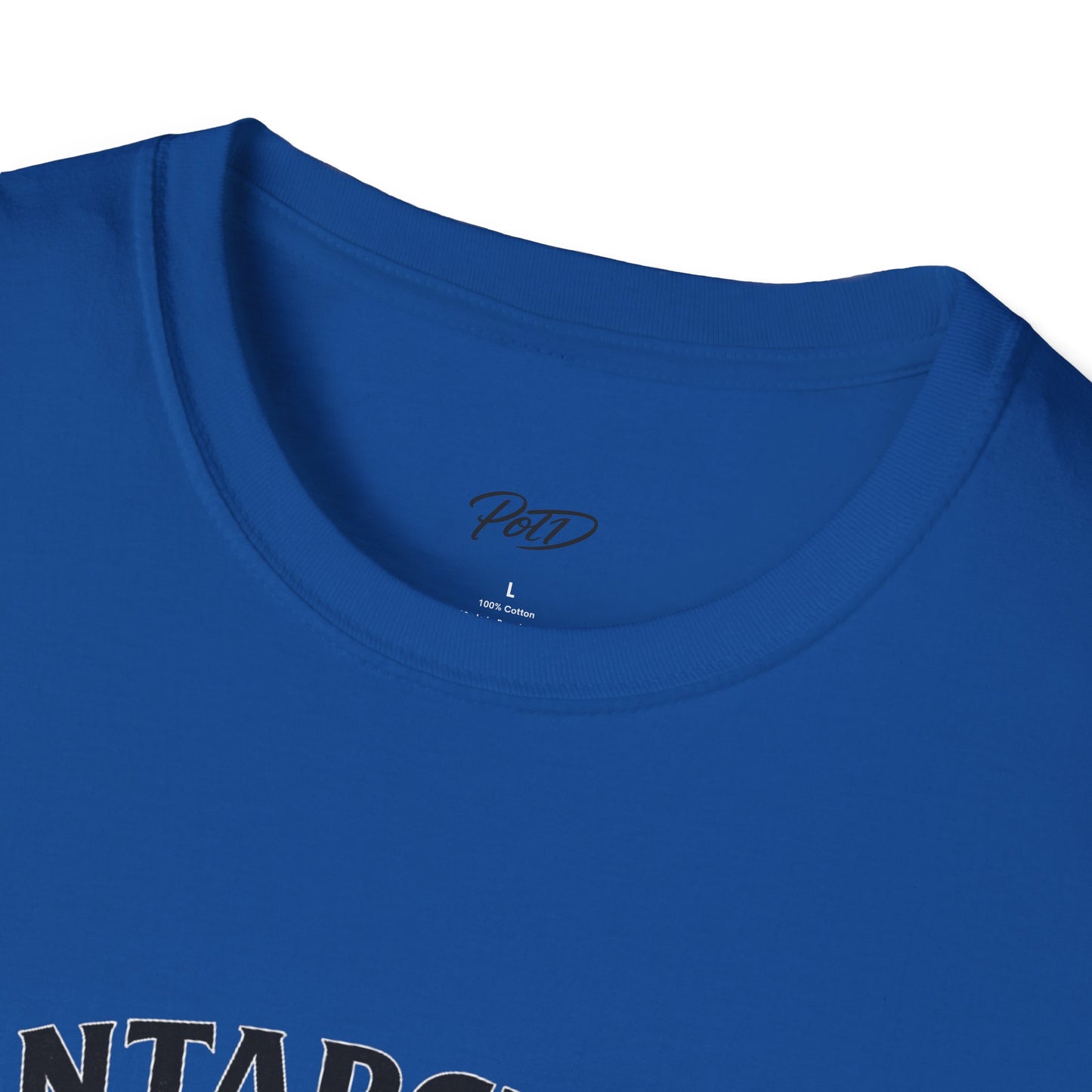 "Antarctica" Softstyle T-Shirt